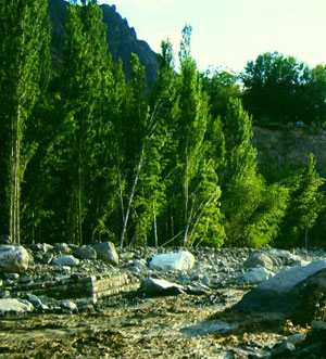 pakistan2
