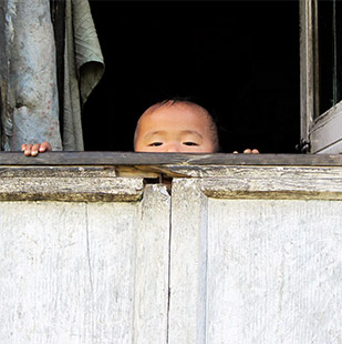 _image1