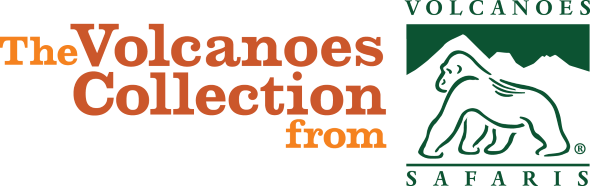 1997597_vs_logo_horizontal