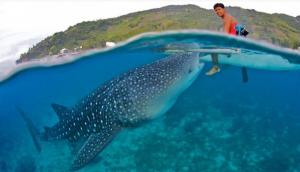 birth-and-death-of-tourist-hotspot