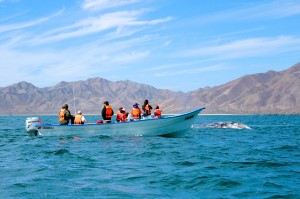 RED Travel Mexico - La Mano del Mono 2