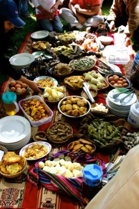 slowfood apthapi copy
