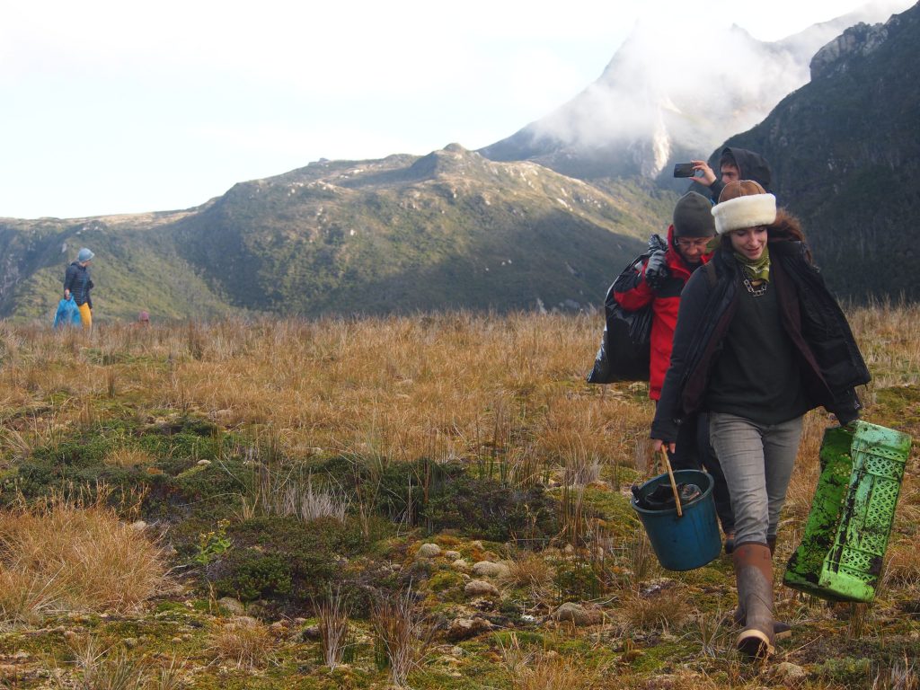 Staff and passengers take an active role in keeping Isla de los Estados cleaner than when they arrived. © Federico Guerrero