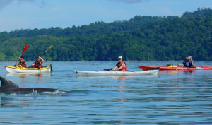 Golfo dulce, south Costa Rica by Rios Tropicales