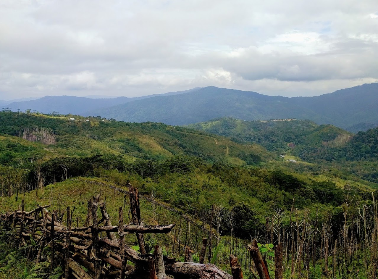 Papua New Guinea’s First Indigenous Owned and Led 100% Authentic